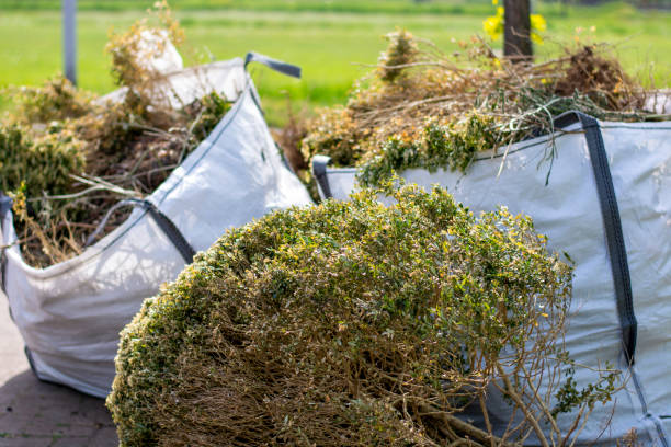 Best Trash Removal Near Me  in Junction City, OR